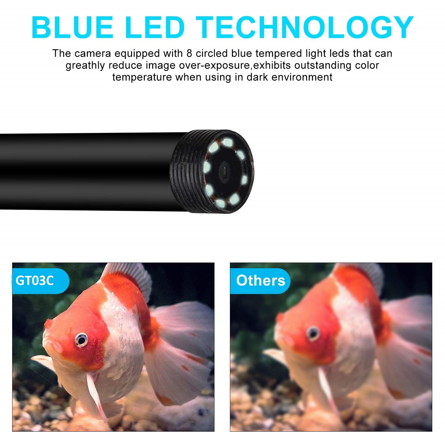 नीली एलईडी प्रकाश व्यवस्था के साथ एंडोस्कोप
